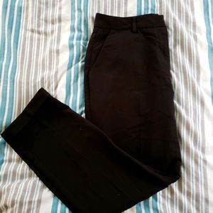 women's dress pants